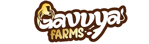 Gavvya Farms