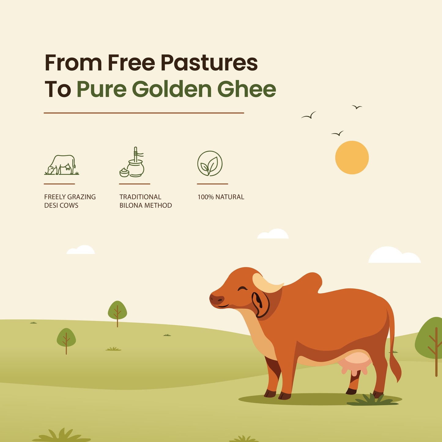 Gavvya Farms Pure A2 Gir Cow Ghee